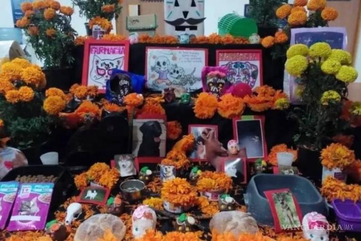 ¿Qué significa el Día de Muertos de Mascotas para los saltillenses?