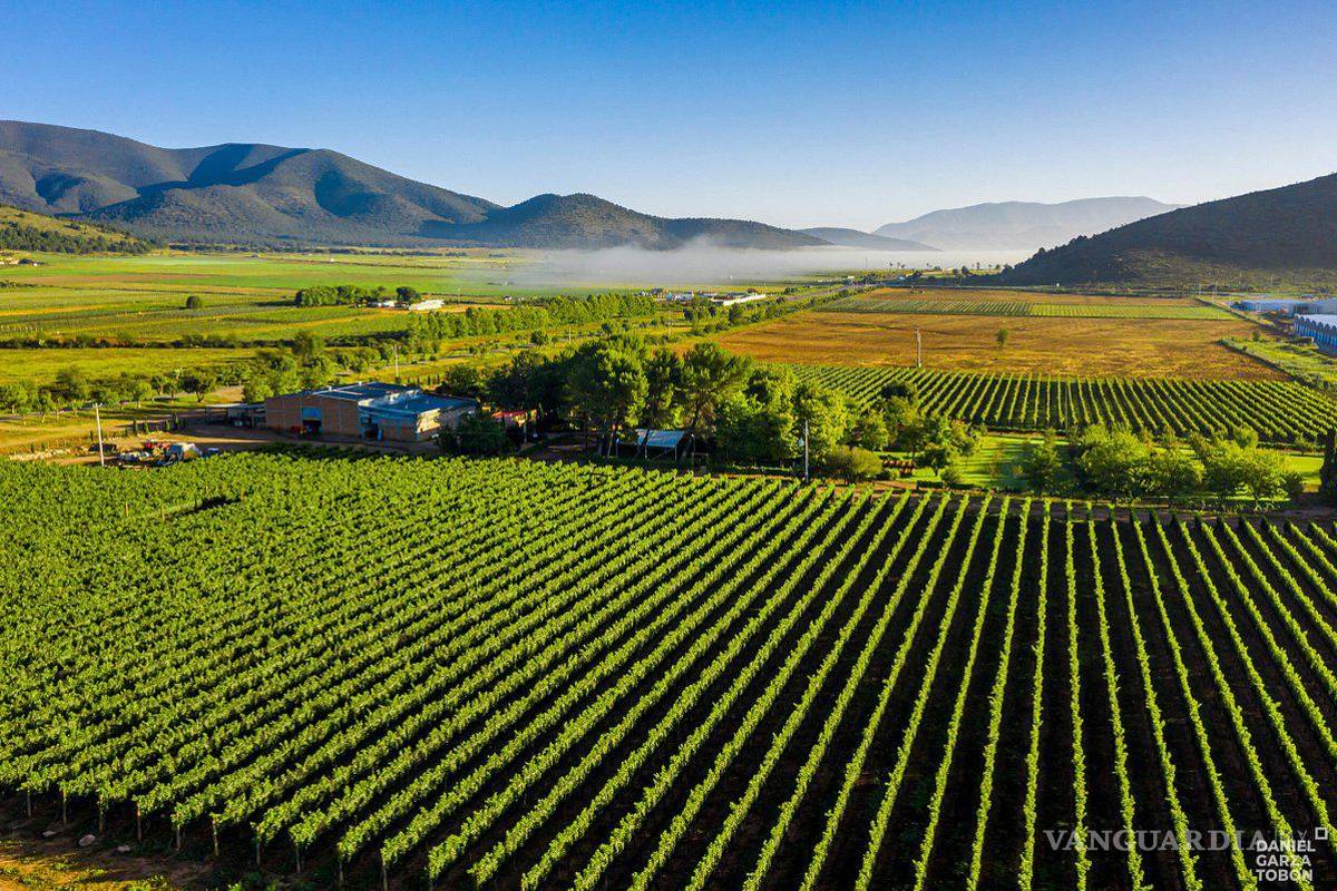 El poema: Bodegas del Viento