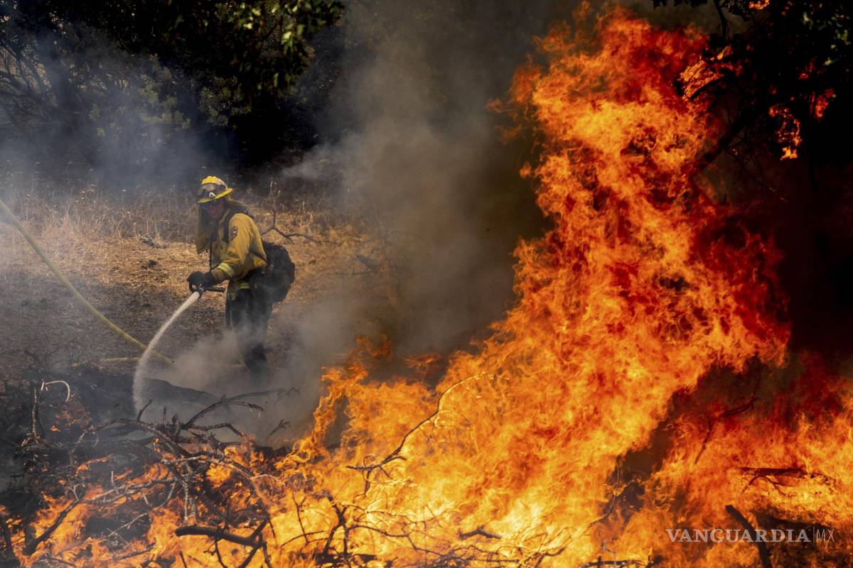 Declaran emergencia en California por incendio forestal; desalojan a 6 mil ciudadanos