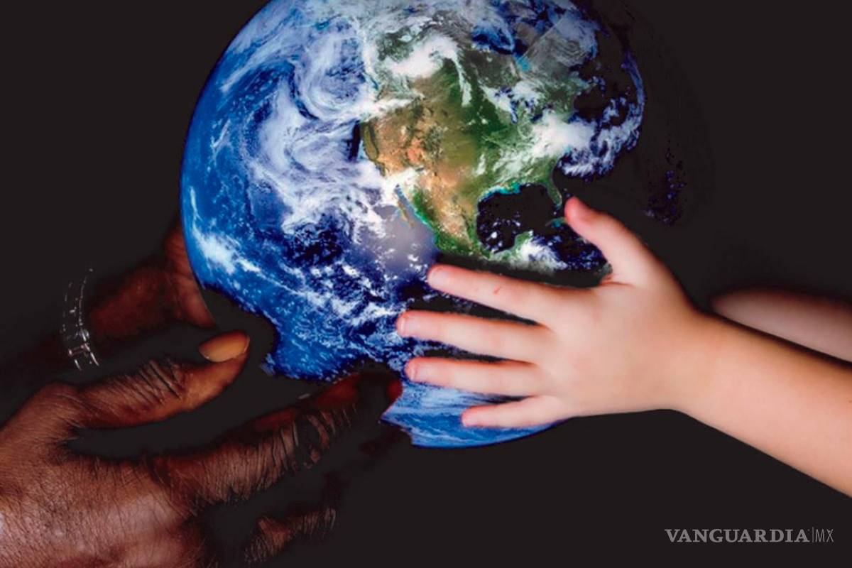 Hoy se festeja el Día Internacional de la Paz