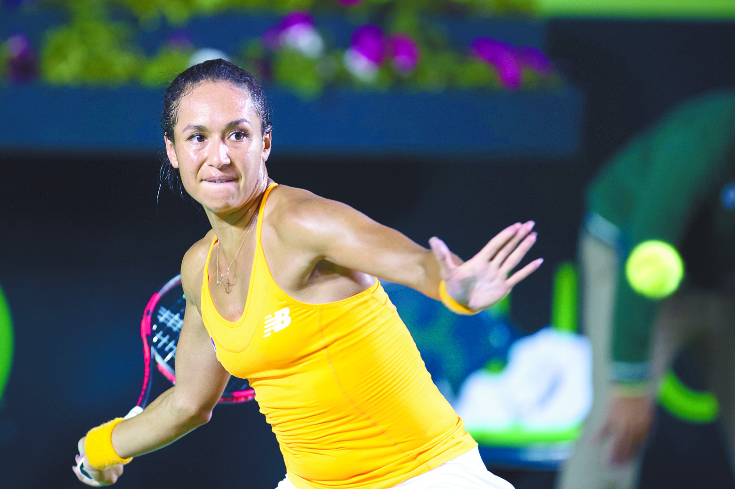 Flipkens y Watson: Por la conquista del Abierto de Monterrey