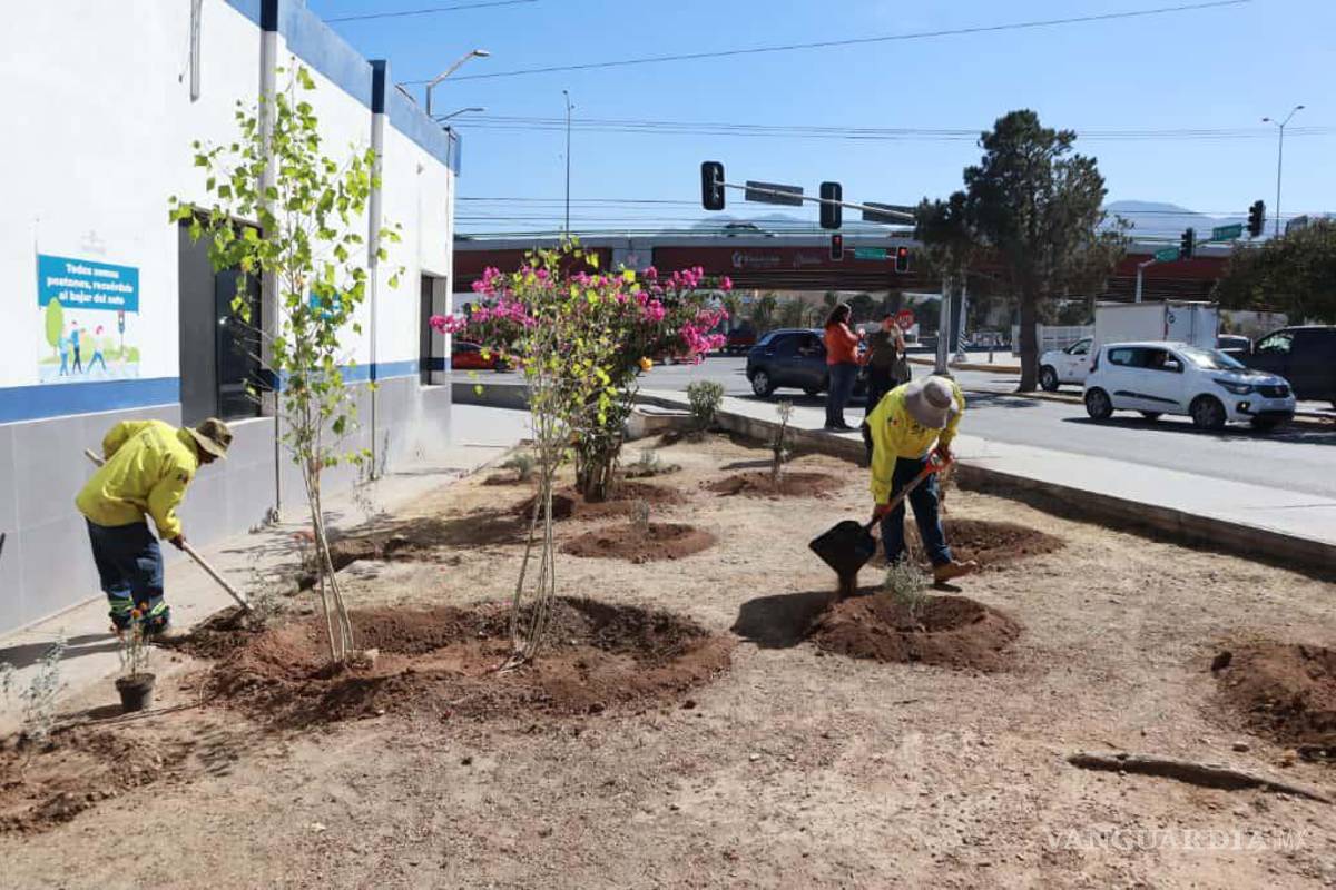 $!Personal de Medio Ambiente intervino áreas verdes con deshierbe, limpieza y retiro de basura.