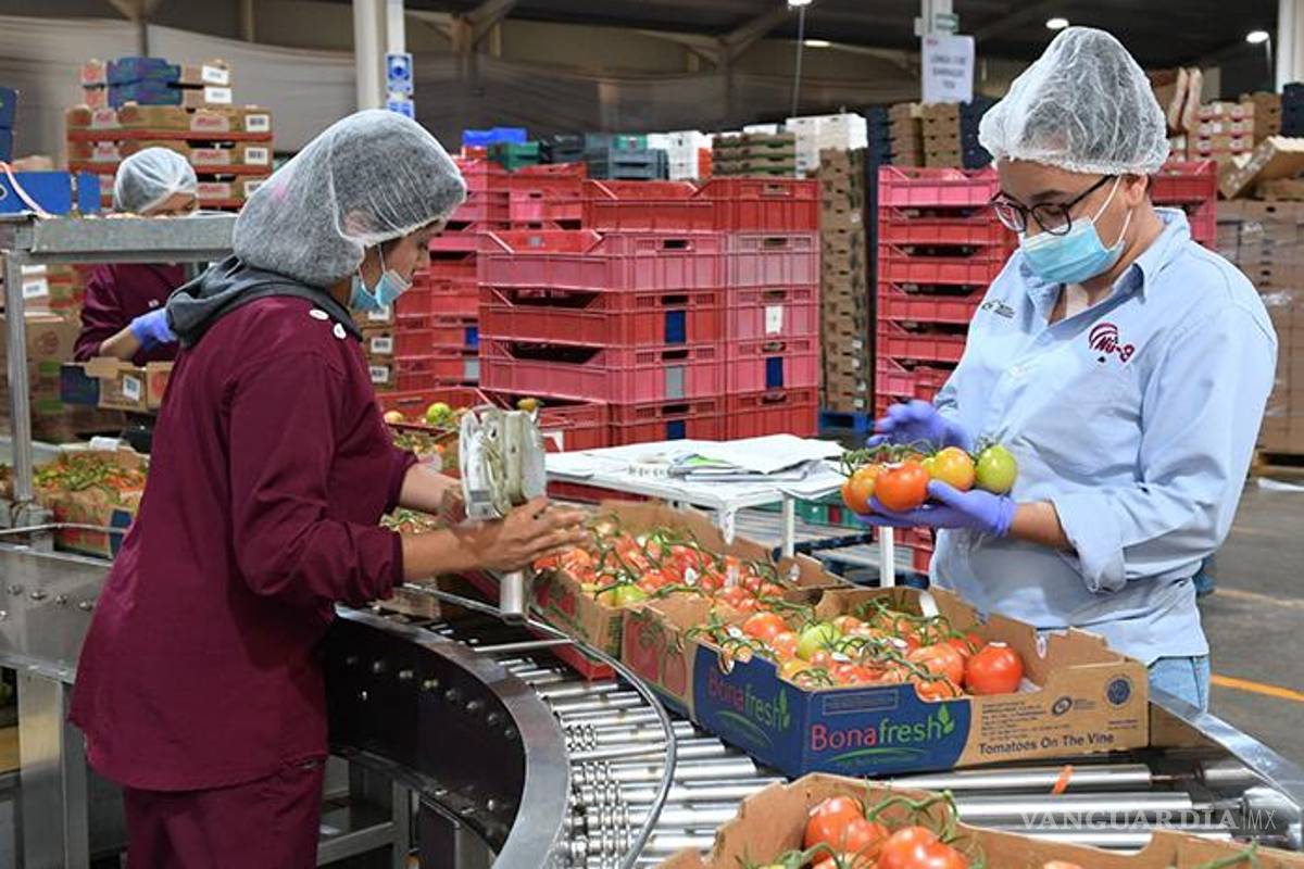 Incrementa ocupación laboral con más de 201 mil empleos en junio