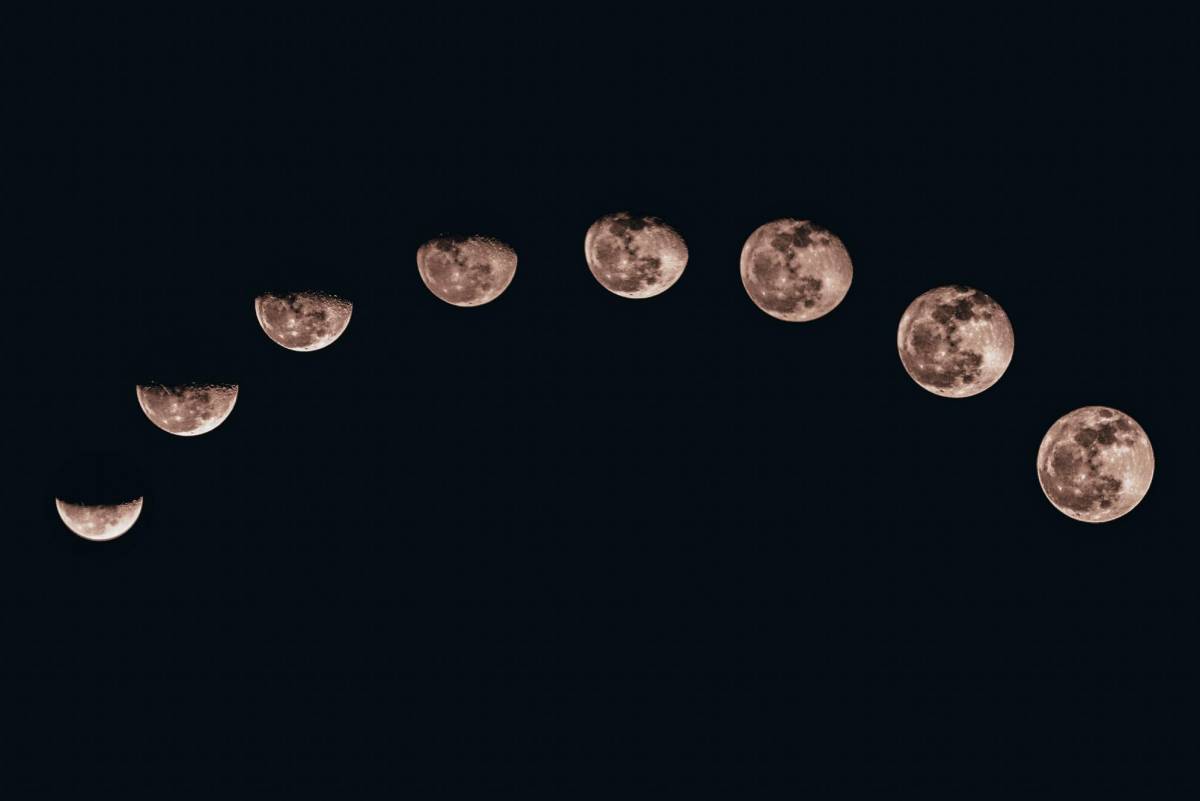 Calendario Lunar 2024, Calendario Lunar Vertical con Fases Lunares para  Sala de Estar, Arte de Pared Celestial para Año Nuevo, Gráfico del Ciclo Lunar  2024 -  México