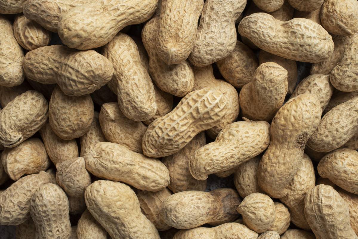 Cacahuate: Historia, sabor y una receta para enamorar al paladar