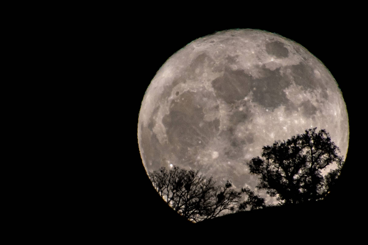 Luna de cosecha