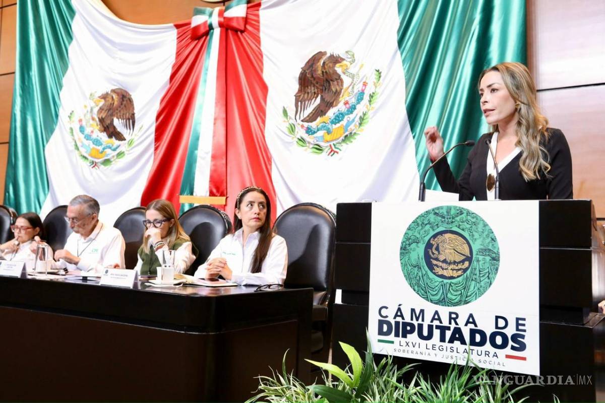 Exige diputada freno a apagones: 300 mil fallas eléctricas golpean a Coahuila y La Laguna, afirma