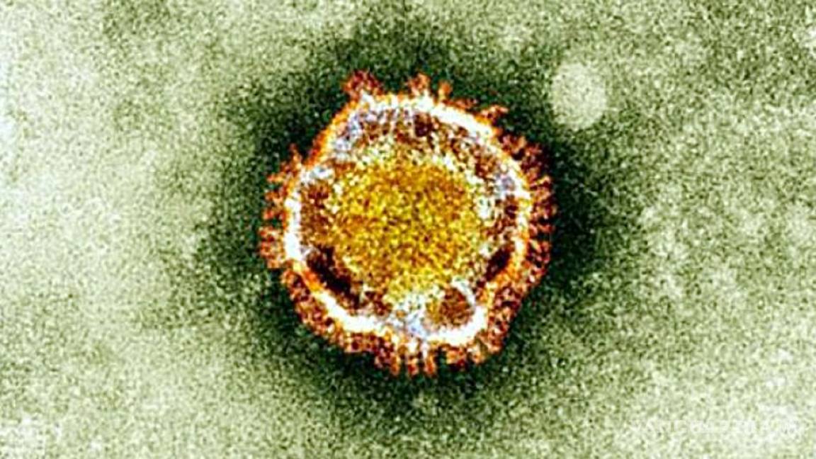 Alerta la OMS por nuevo virus surgido en China, ven eventual ola de contagios