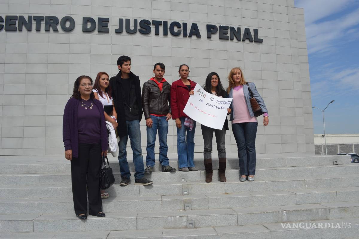 Llevan a juzgados caso de torturador de gatos