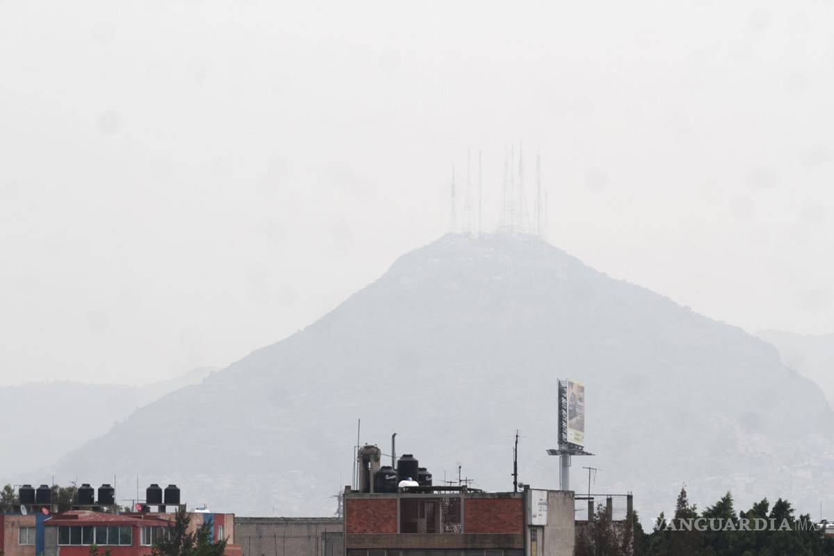 México está lejos de alcanzar metas del sexenio sobre cambio climático