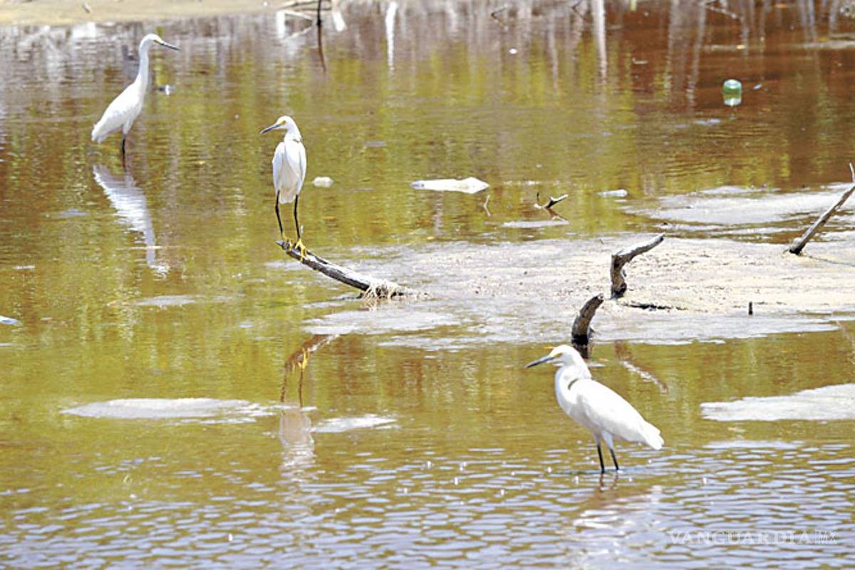 Cambio climático costó a México 338 mmdp