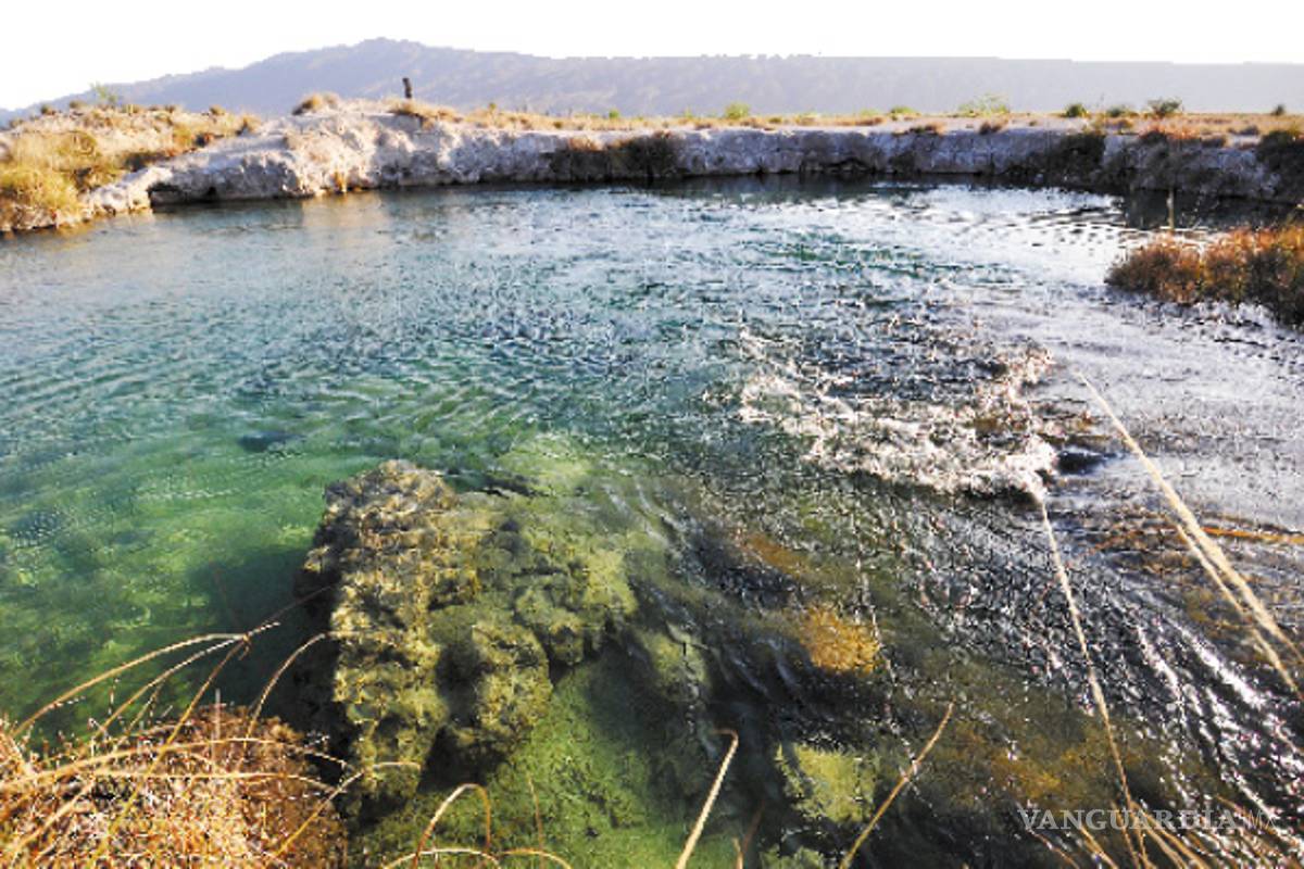 En Coahuila obligan a Conagua a suspender explotación de pozas de Cuatro Ciénegas