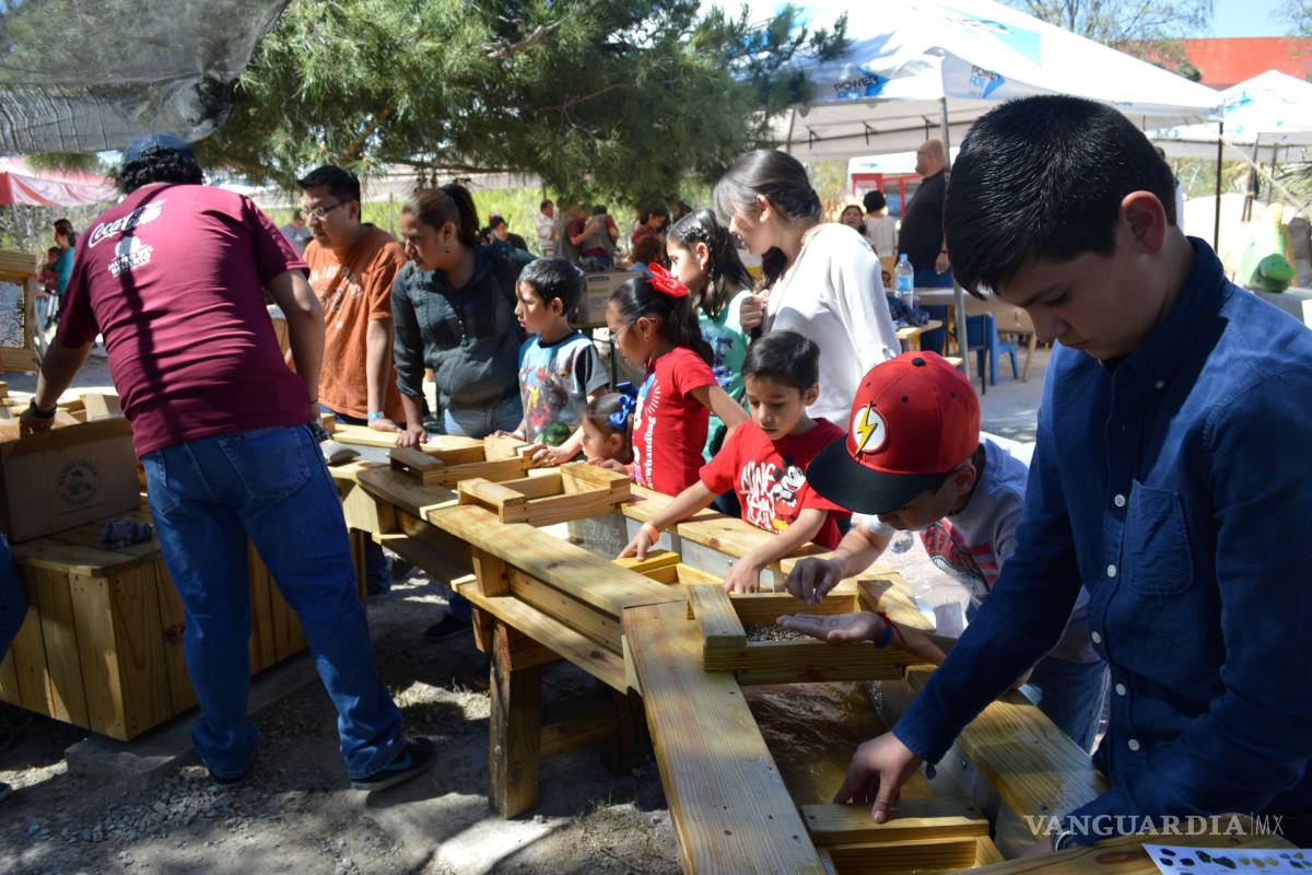 Disfrutan saltillenses y turistas de la Feria del Desierto