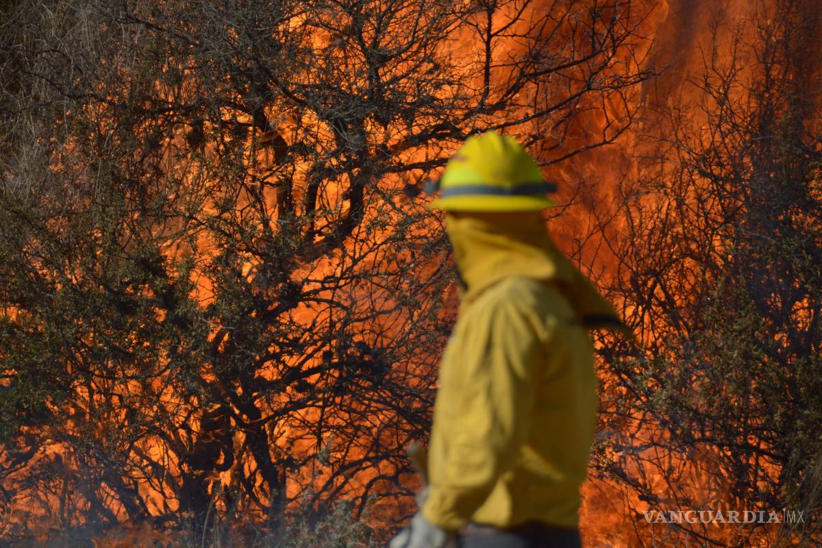 $!Combaten 100 brigadistas incendio forestal al sur de Saltillo