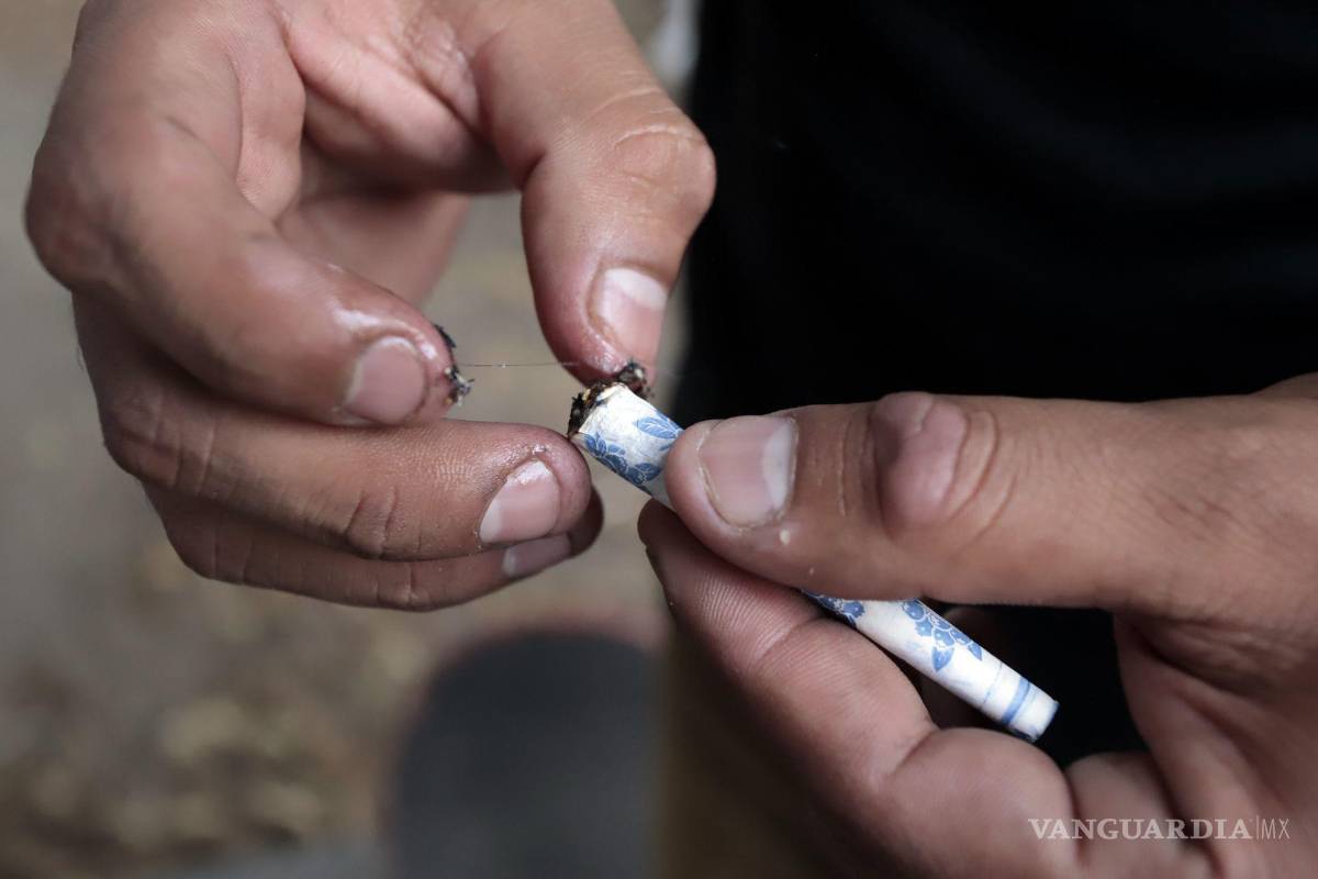Mariguana, la nueva ‘droga de inicio’ en Saltillo; supera al alcohol y tabaco