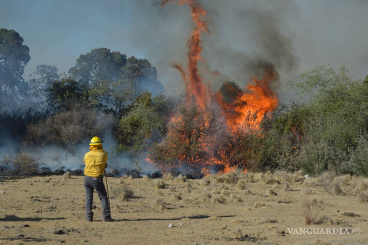Combaten 100 brigadistas incendio forestal al sur de Saltillo