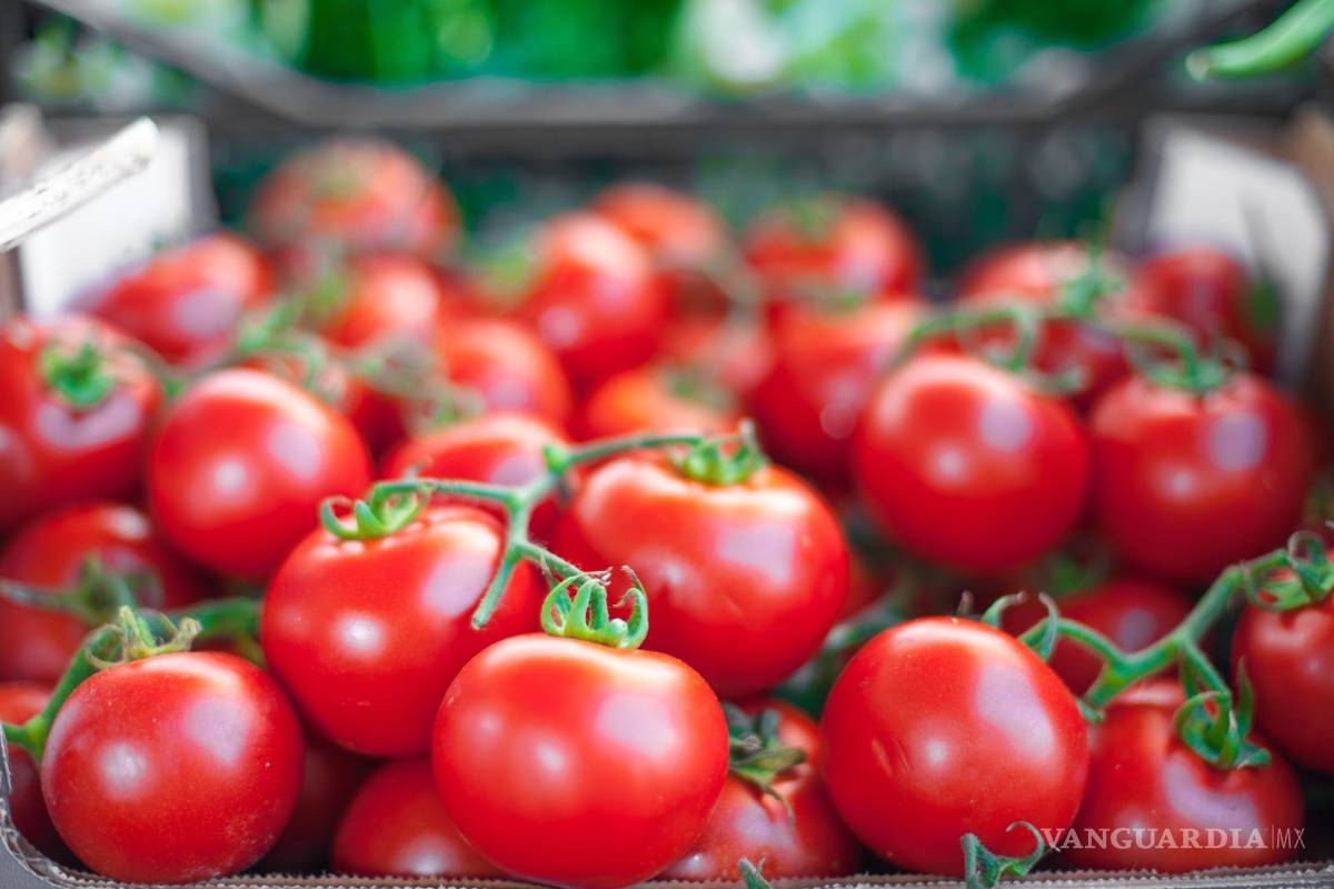 Productores piden retirar arancel al tomate mexicano