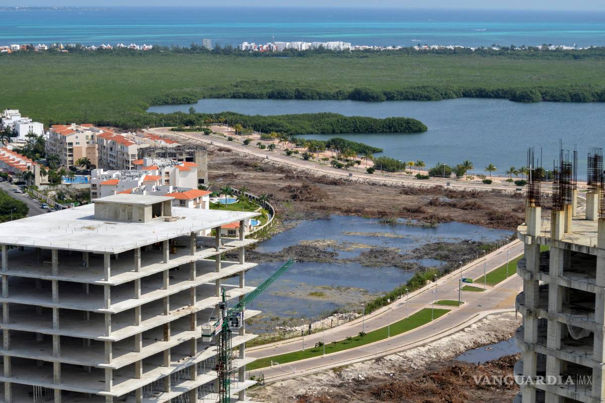 Norte de Quintana Roo perdió 55% de superficie de manglar en 40 años