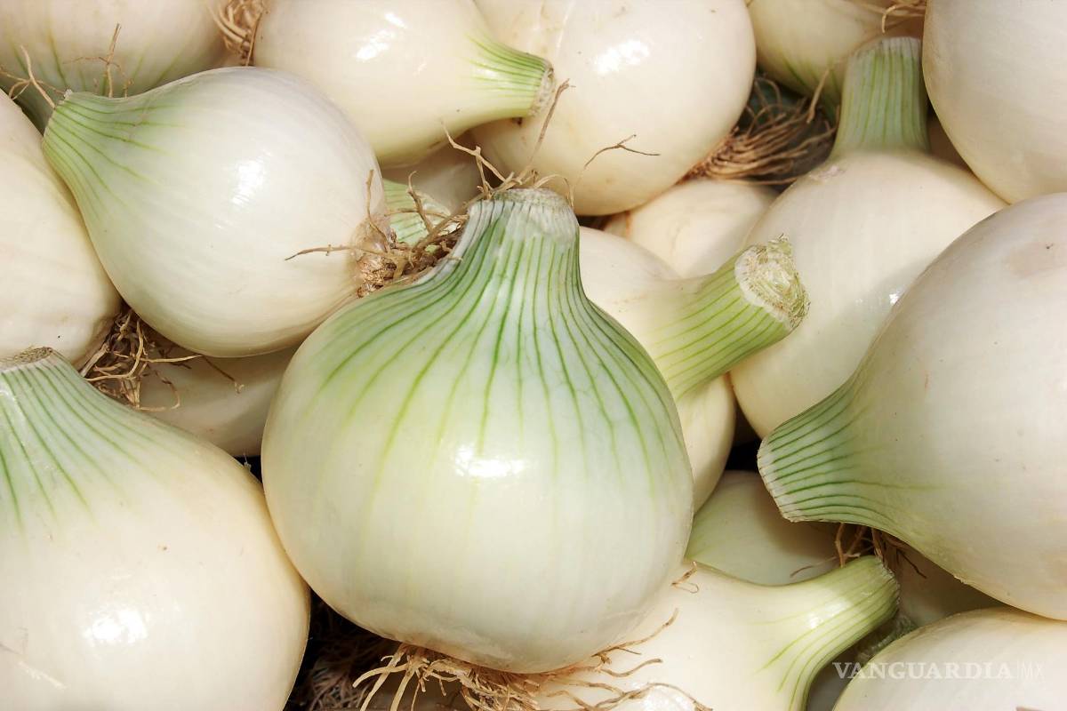 México investiga supuesta presencia de salmonella en cebollas exportadas a EU