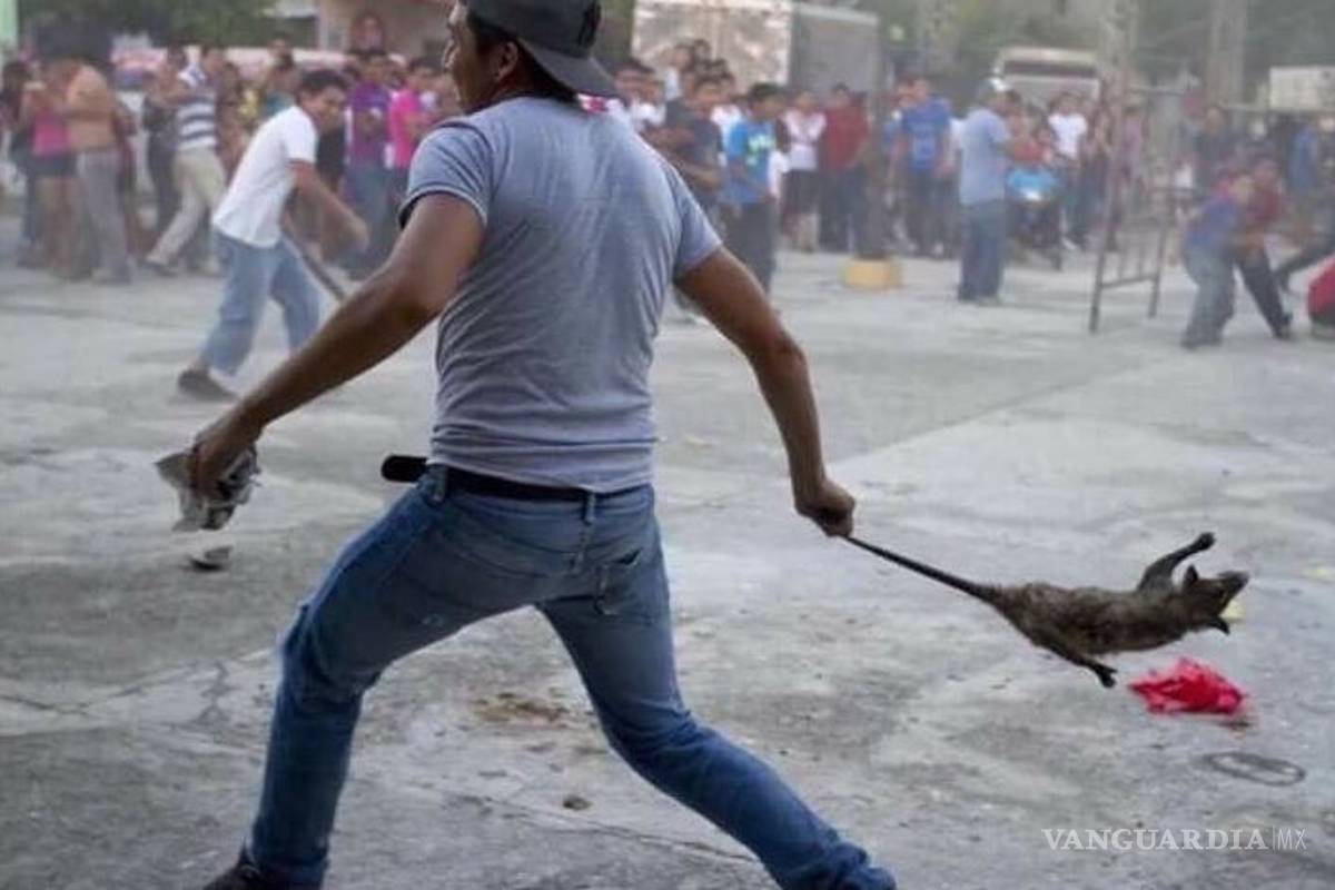 ¿De dónde salió el 'tlacuache de Nochixtlán'?