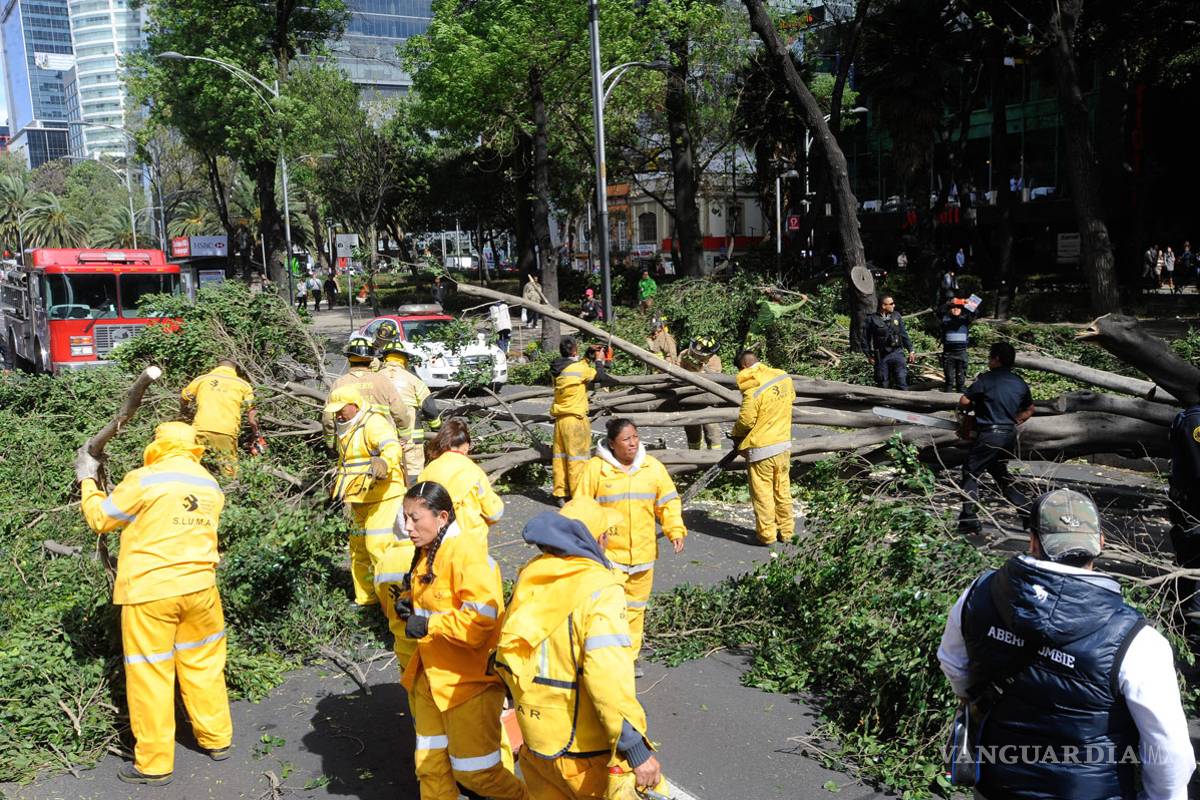 Ráfagas derriban más de 800 árboles en la CDMX; seis muertos en el país