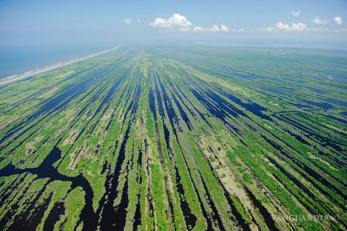 $!Marismas Nacionales podría sufrir devastación como Tajamar