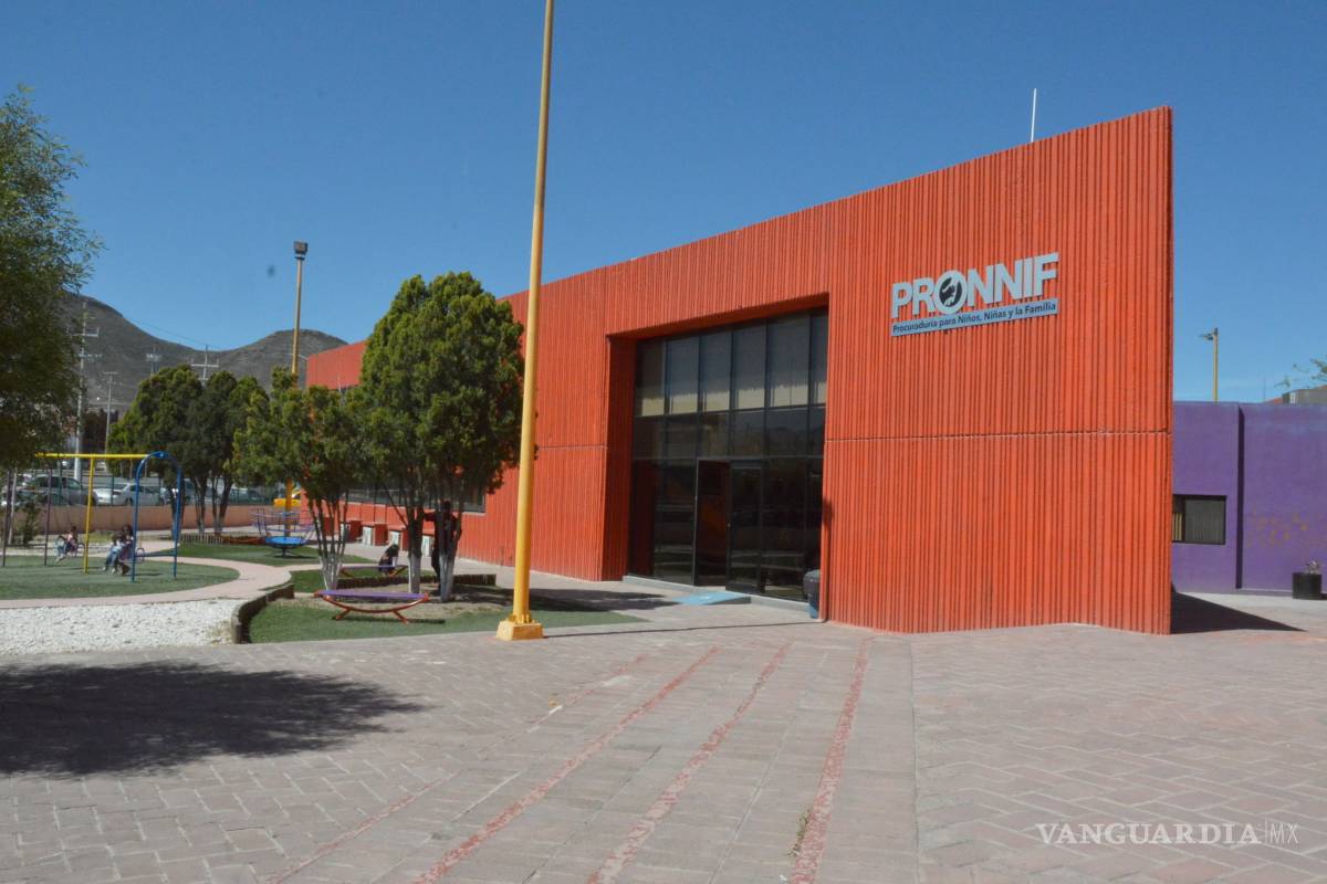 Si no se lo piden, Pronnif no intervendrá en caso de sustracción de menores