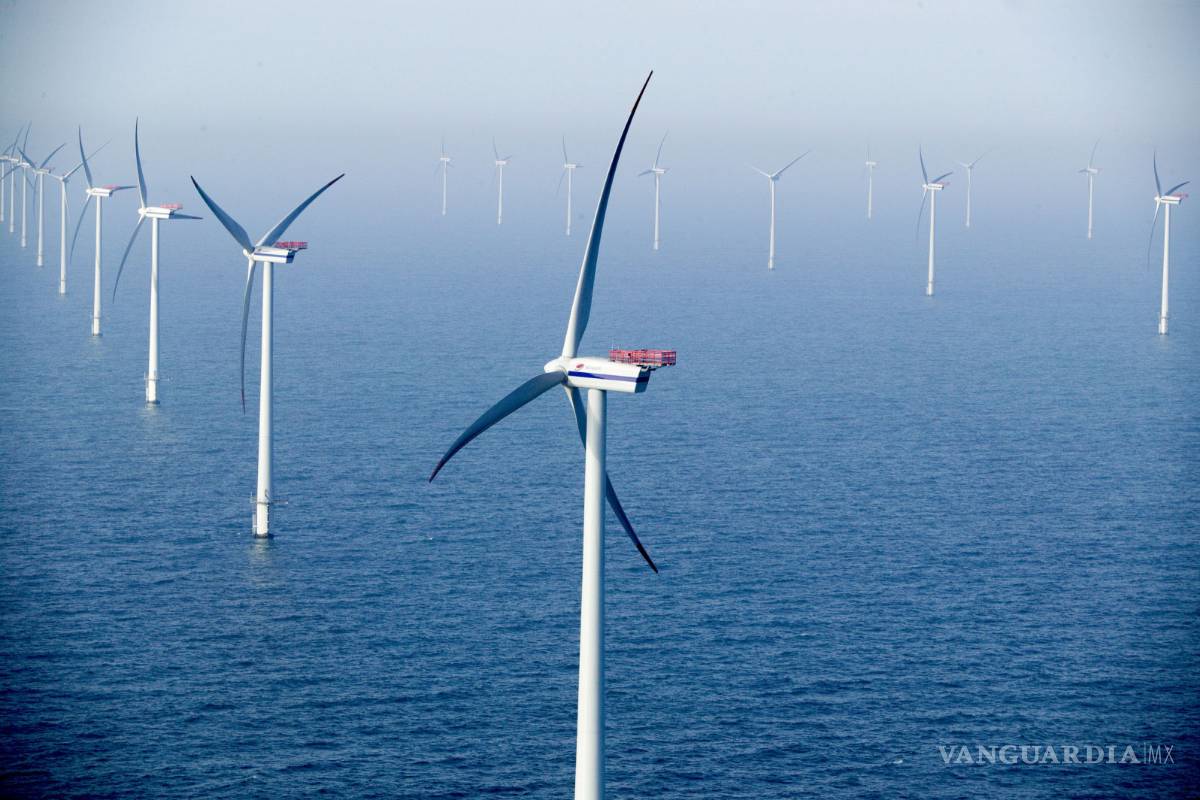 Japón aumenta a 3 mil millones de dólares inversiones en energía renovable