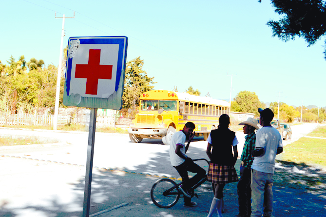 Ataca enjambre de abejas a 25 alumnos