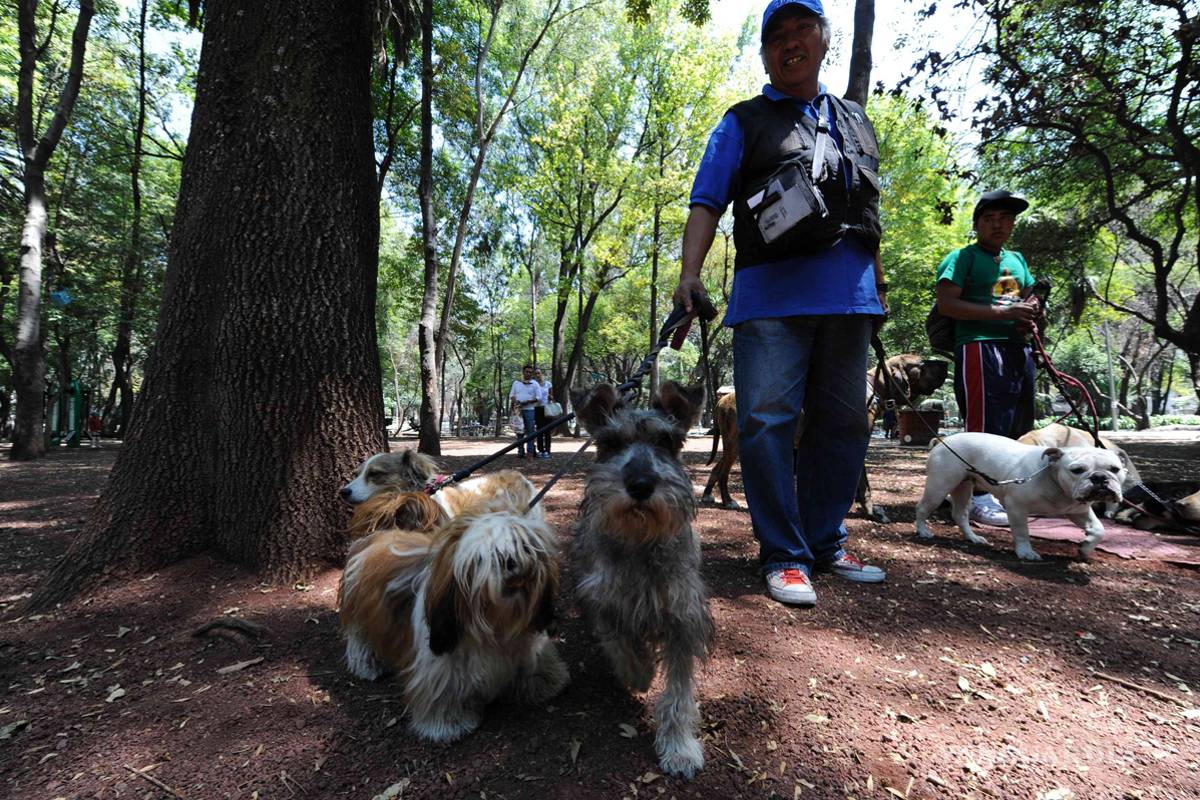Envenenan perros en La Condesa, ya investigan