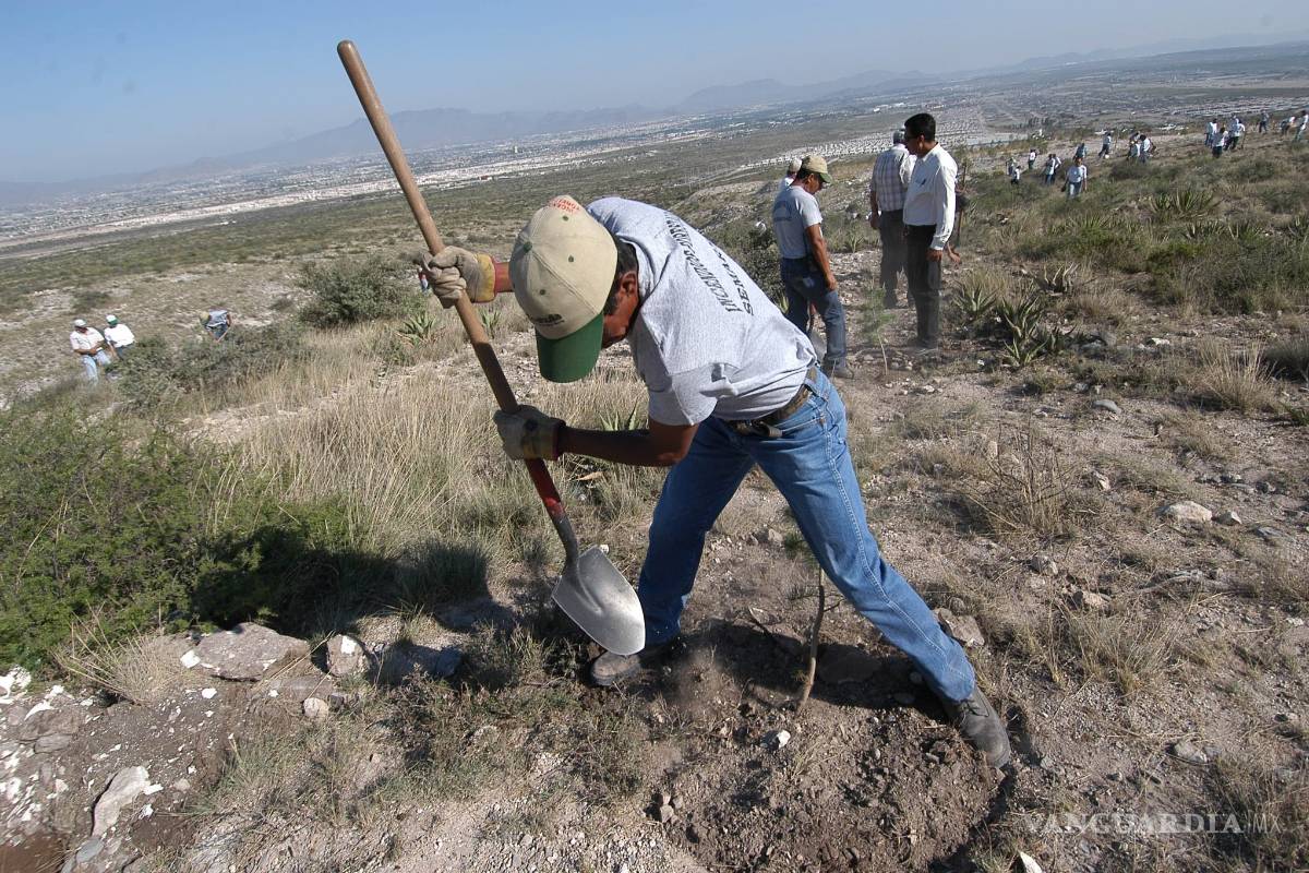 Invita PRI a ambientalistas a sumarse al Consejo Juvenil
