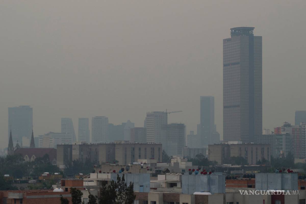 Clausuran 7 gasolineras y 4 estaciones de gas LP