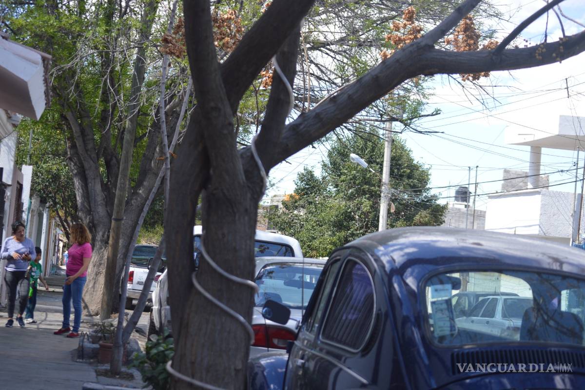 'Descubren' vecinos de la colonia Oceanía la verdad de 'La Llorona' de Saltillo