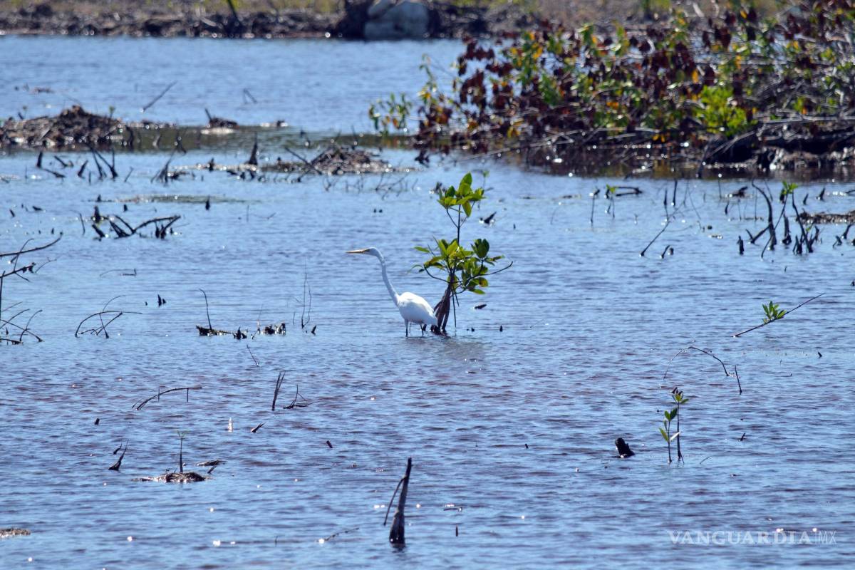 $!Conceden segunda suspensión de proyecto Tajamar