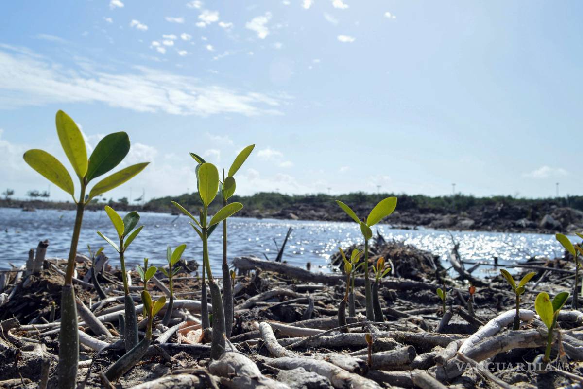 Pide Congreso informes del Proyecto Tajamar