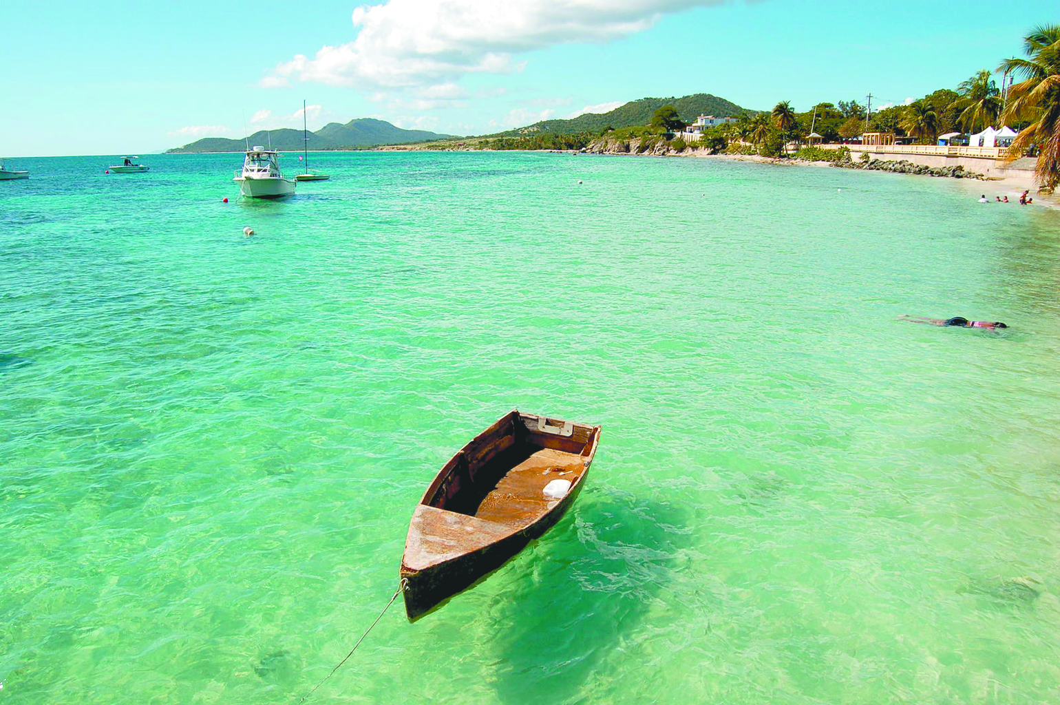 Puerto Rico y sus bahías bioluminiscentes