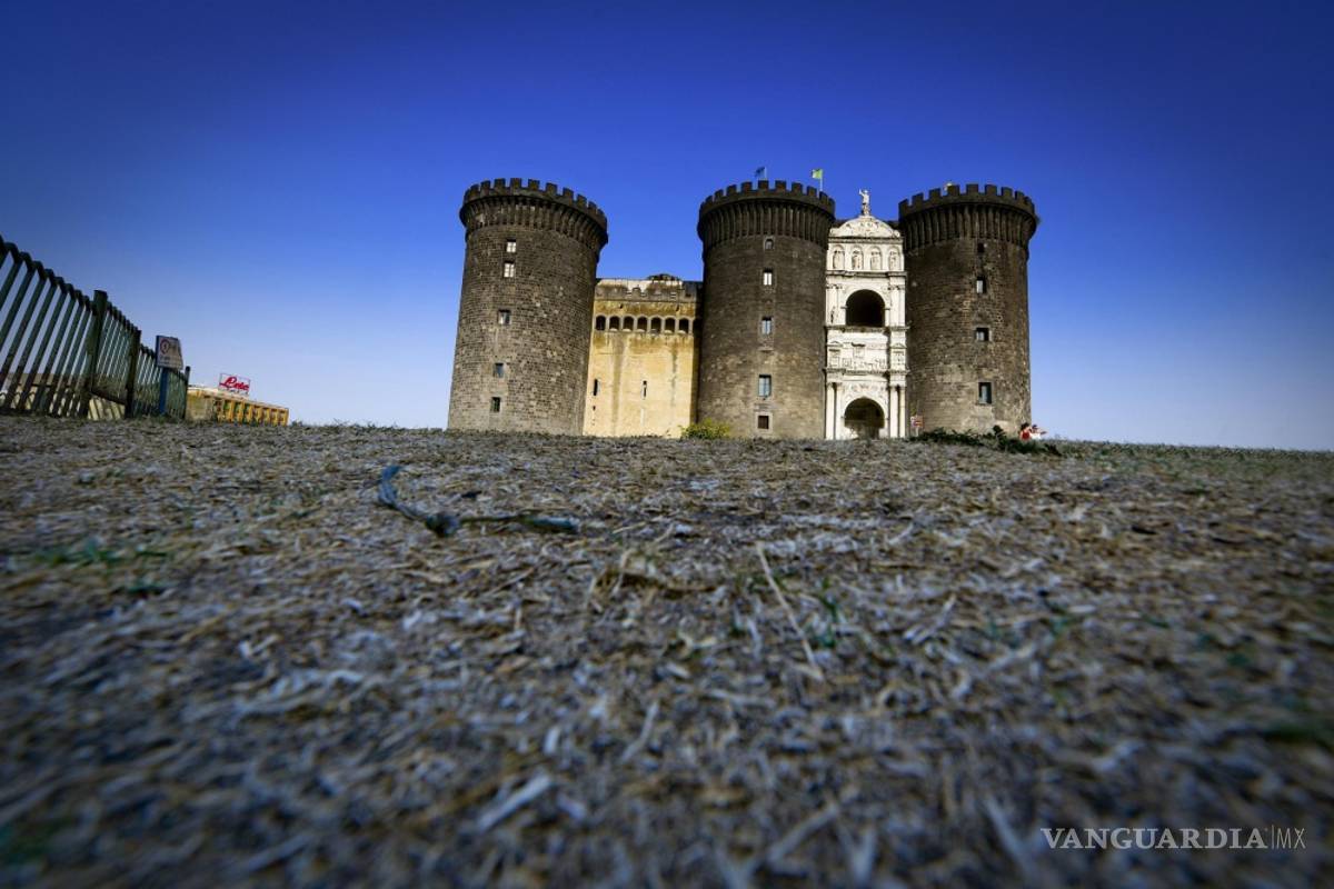 Sofocante ola de calor está destrozando cultivos en Europa
