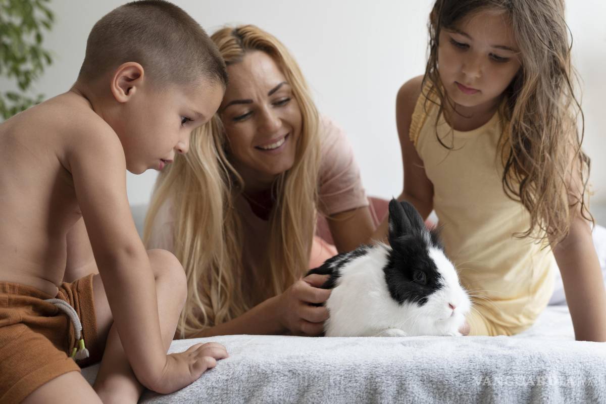 Aprendiendo a querer a los animales, una guía para familias