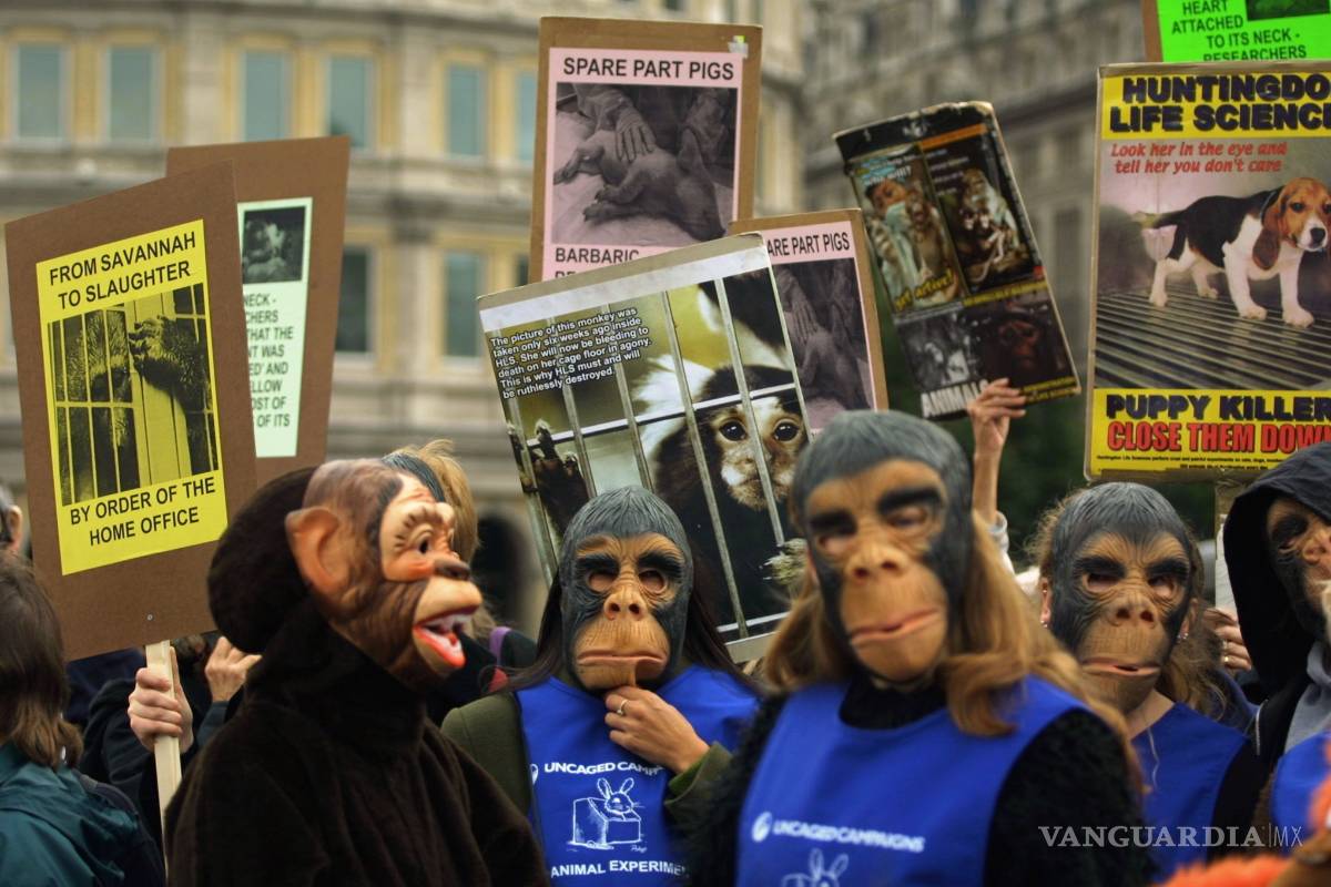 ¡Vivan los derechos de los animales!