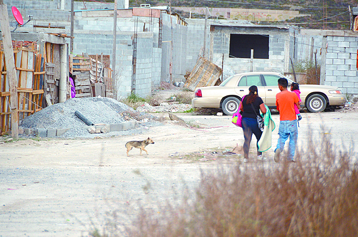 Humano: responsable de agresividad de los perros