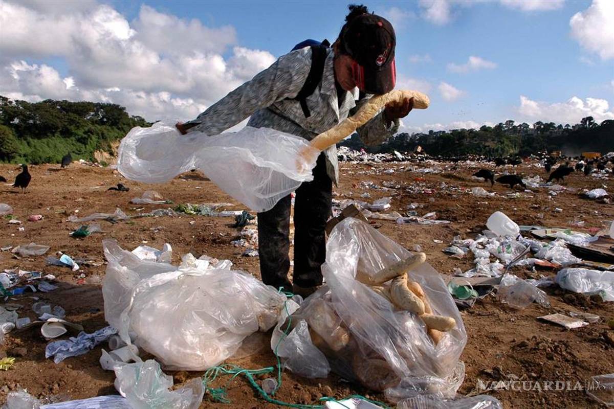 $!En América se desperdician 127 millones de toneladas de alimentos mientras crece el hambre