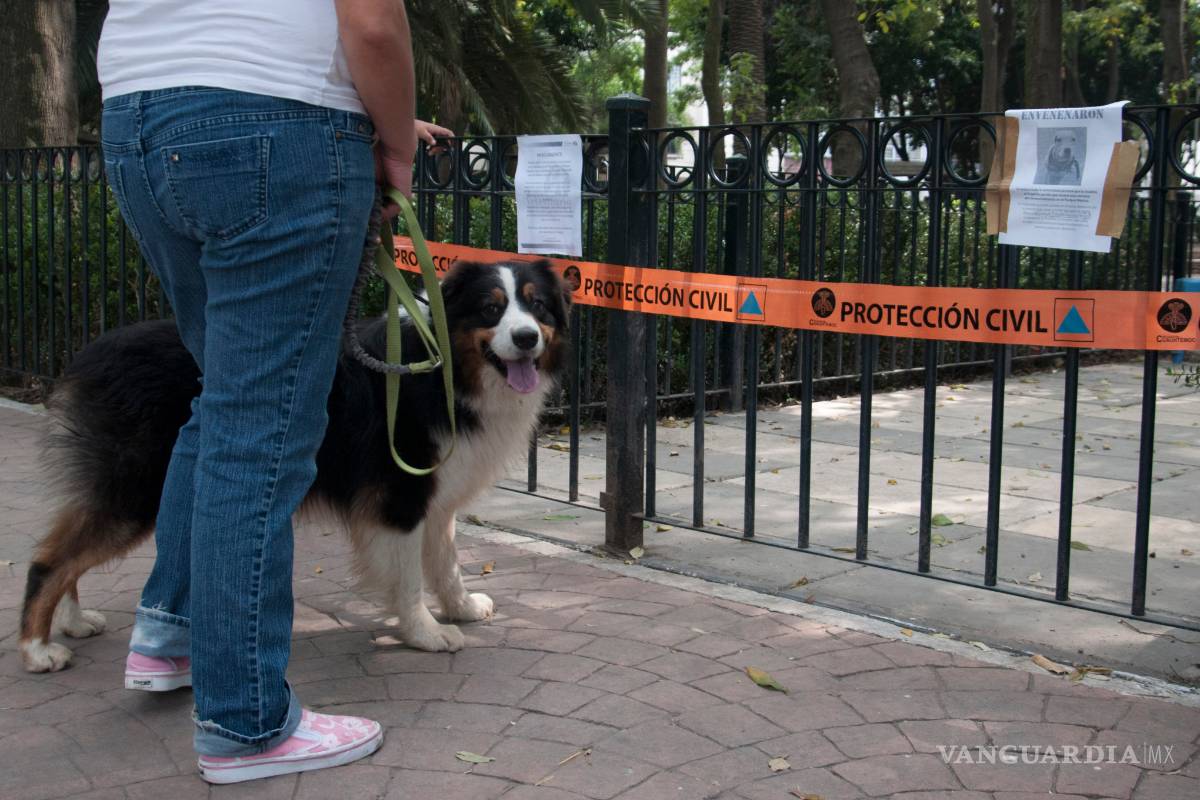Muerte de perros en Parque México tiene consecuencias penales: GDF