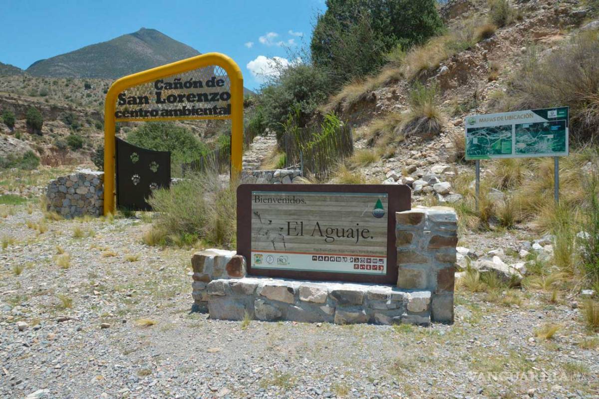 Saquean museo en el Cañón de San Lorenzo