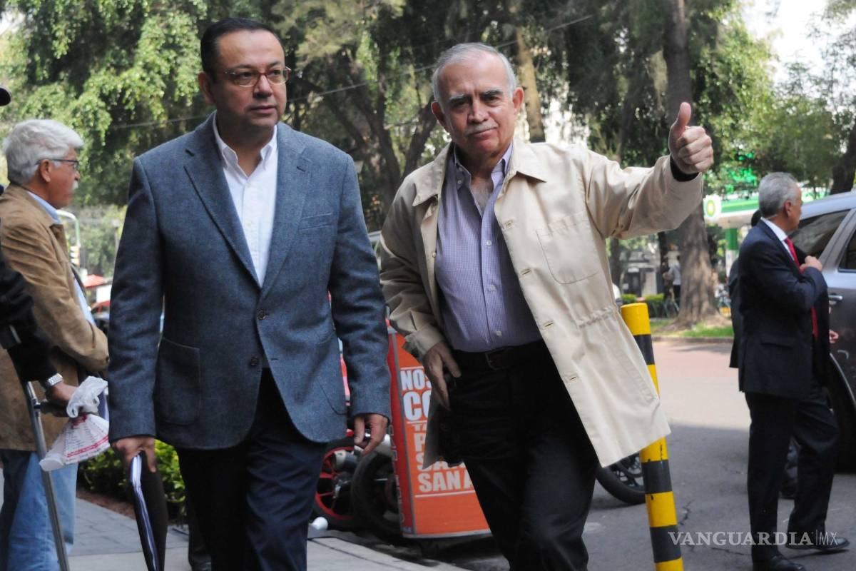 Presenta Martínez ‘amicus curiae’ contra Ley Bonilla