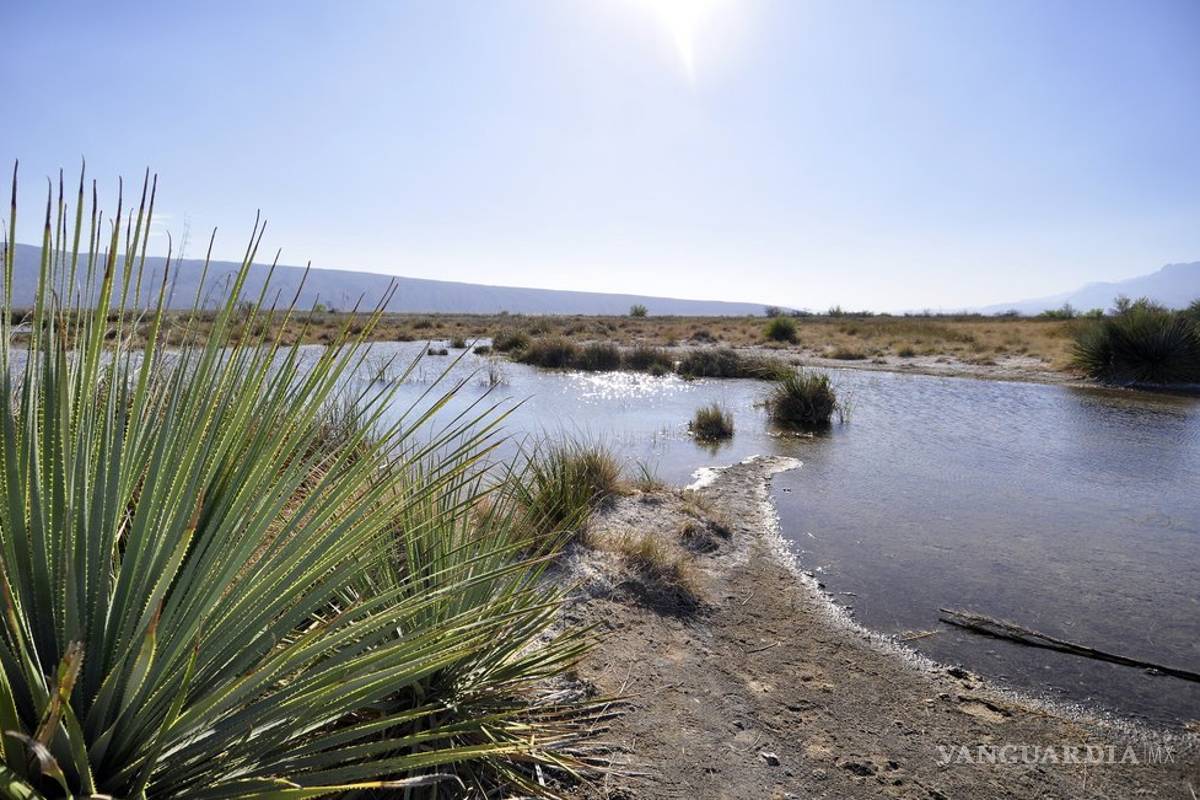 En Coahuila colabora UAdeC en la conservación del área protegida de Cuatro Ciénegas