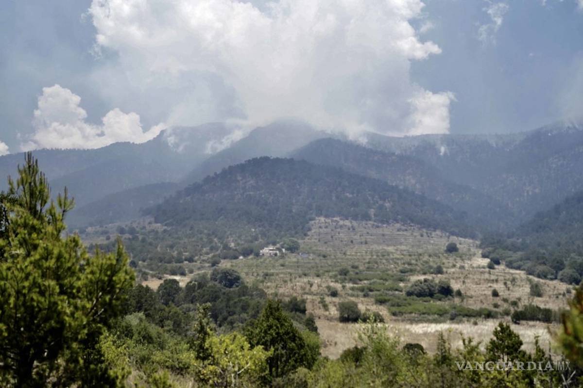 Se ha controlado 40% del incendio en Arteaga; más de 800 hectáreas se han visto afectadas