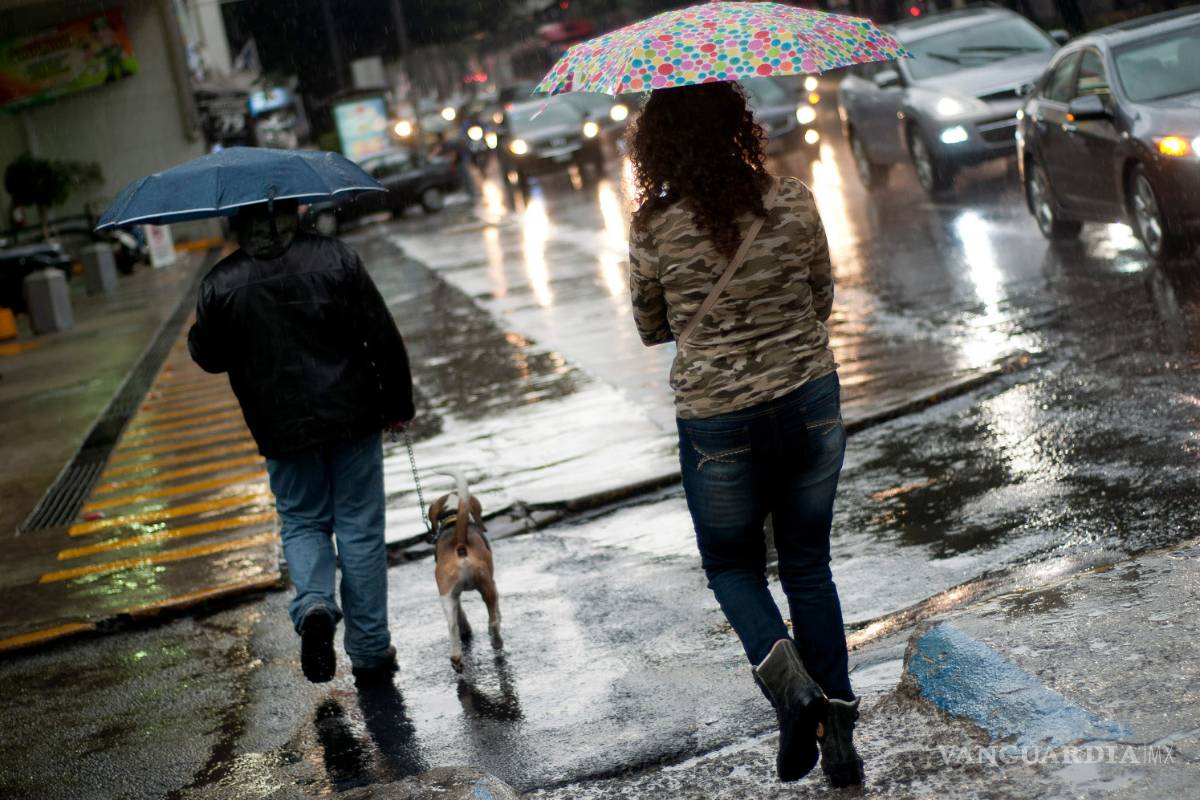 Se esperan nevadas, tormentas y vientos fuertes por quinta tormenta invernal: SMN