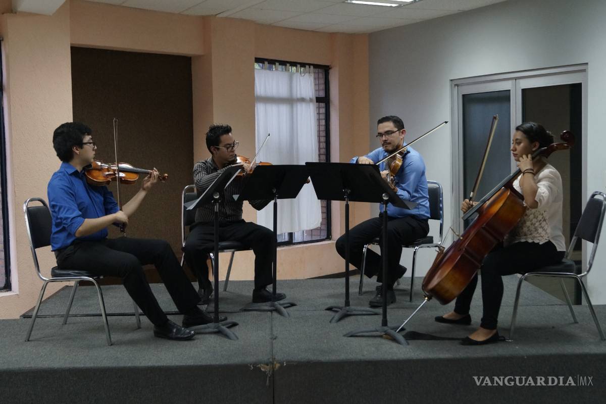 Taller de música de cámara, la importancia de crear públicos para la cultura