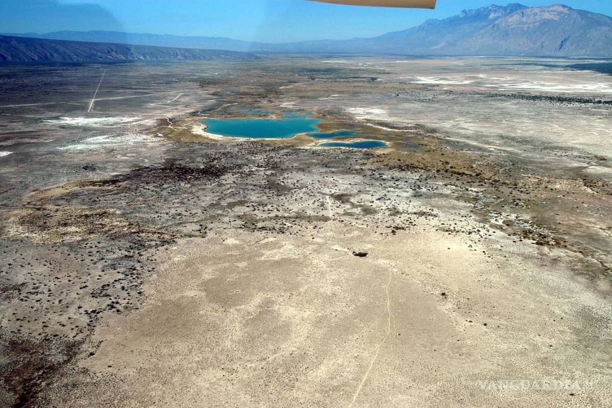 Exigen frenar el tráfico de especies endémicas de Cuatro Ciénegas