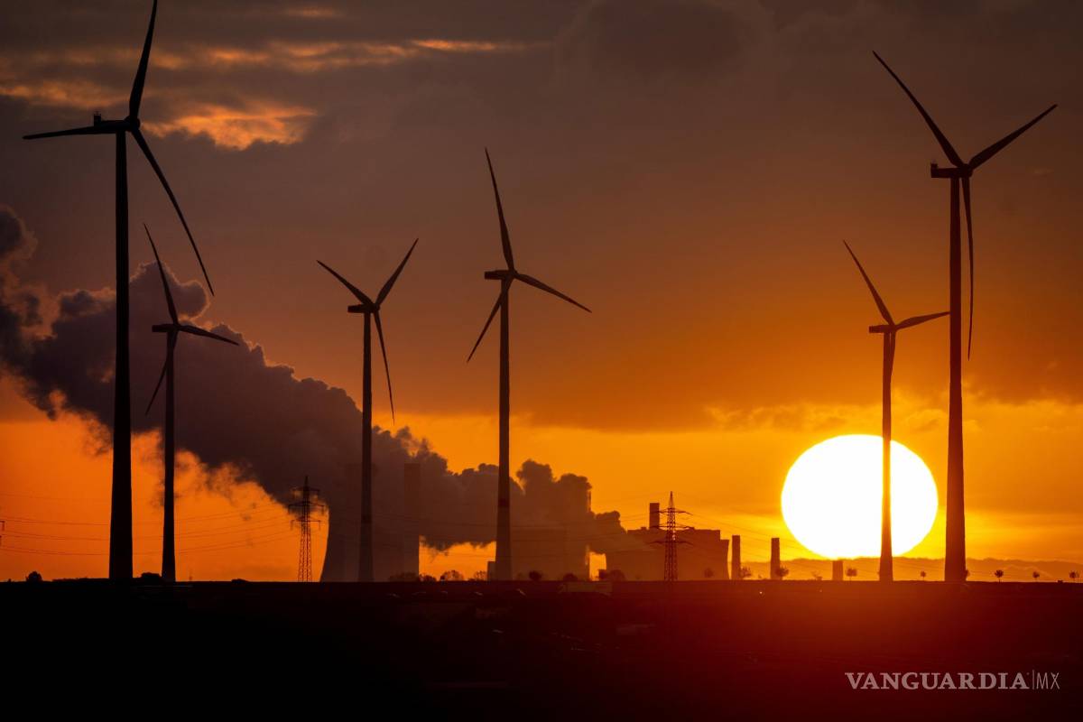 Un estudio científico realizado por la Universidad de Ginebra indica que un tercio de las personas aún duda sobre el cambio climático